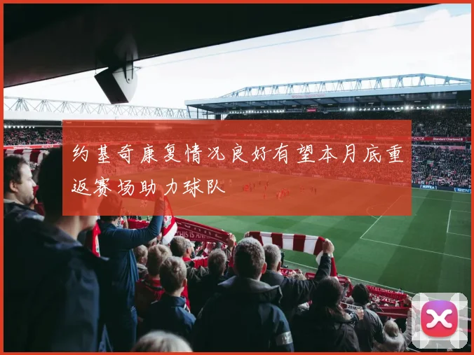 约基奇康复情况良好有望本月底重返赛场助力球队